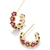 GOLD - RED CRYSTAL