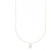 LETTER R